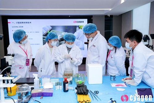 尖端技術與科研合作共啟新篇——亞太實驗動物科學與技術前沿峰會暨顯微注射與turboivf繁育體系高級研修班圓滿落幕
